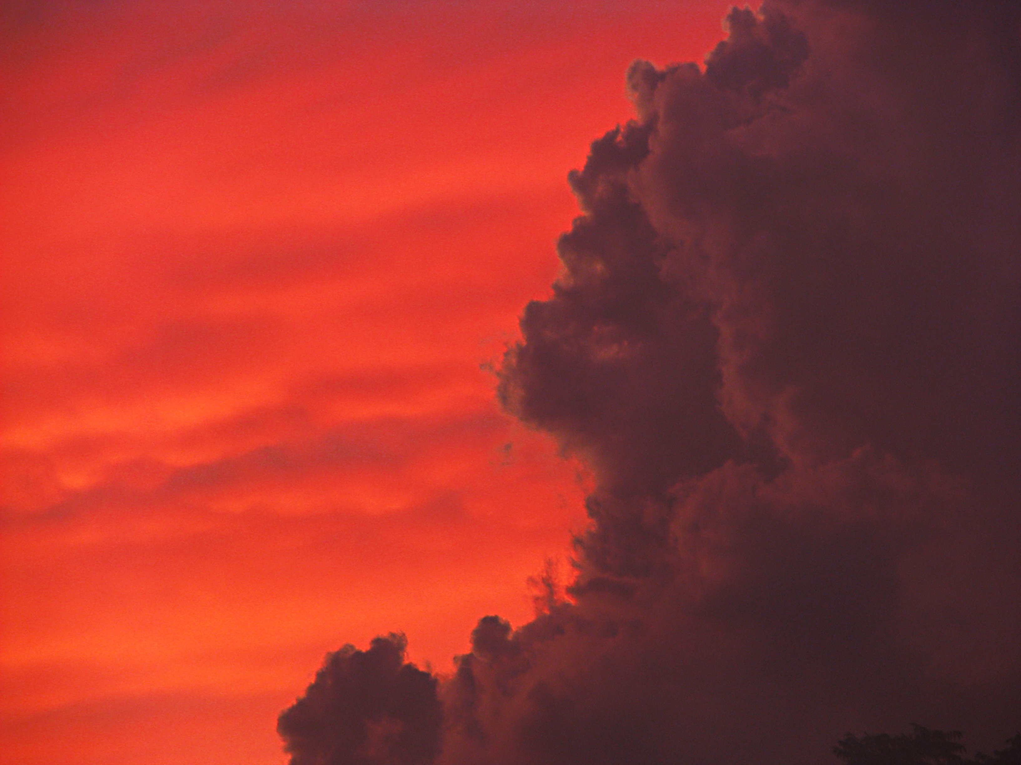 Revolution on PokerStars, or How AMaya predicted